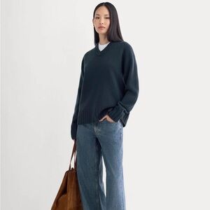 Everlane Deep Blue V-Neck Sweater